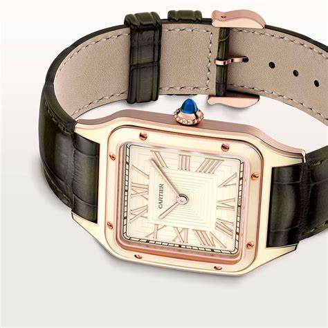 cartier santos dumont large wgsa0054|cartier wgsa0054 for sale.